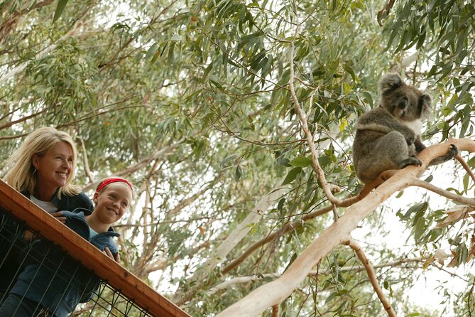 1 Day Exclusively Private Tour Of Phillip Island & The Penguin Parade - Churchill Island, coast stops, and that in-between time you will actually remember