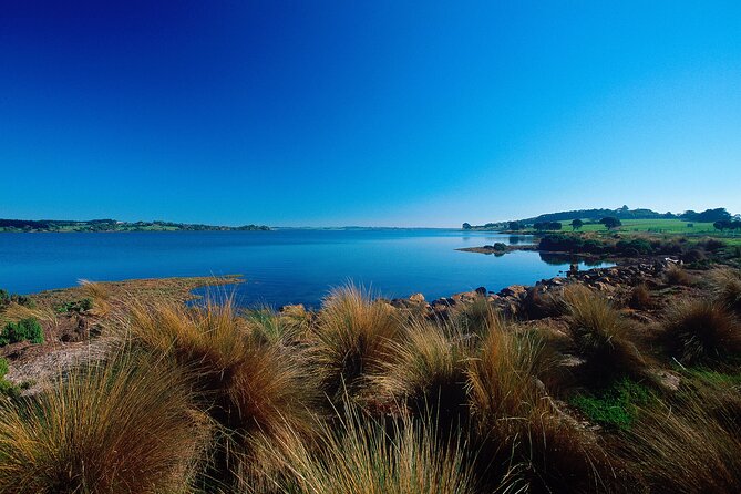 1 Day Exclusively Private Tour Of Phillip Island & The Penguin Parade - The guide factor: James Williams and what to check before you go
