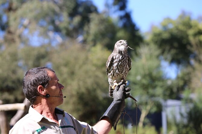 1 day Puffing Billy Steam Train and Wildlife Tour from Melbourne - Lakeside Visitor Centre: the rest stop where lunch planning becomes easy