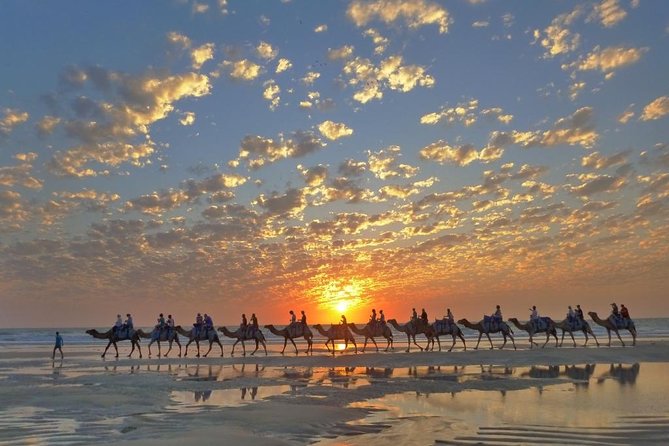 1 Hour Broome Sunset Camel Tour - Your one-hour ride along Cable Beach: what to expect step by step