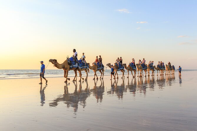 1 Hour Broome Sunset Camel Tour - What you get after the ride: carrots and pearl earrings