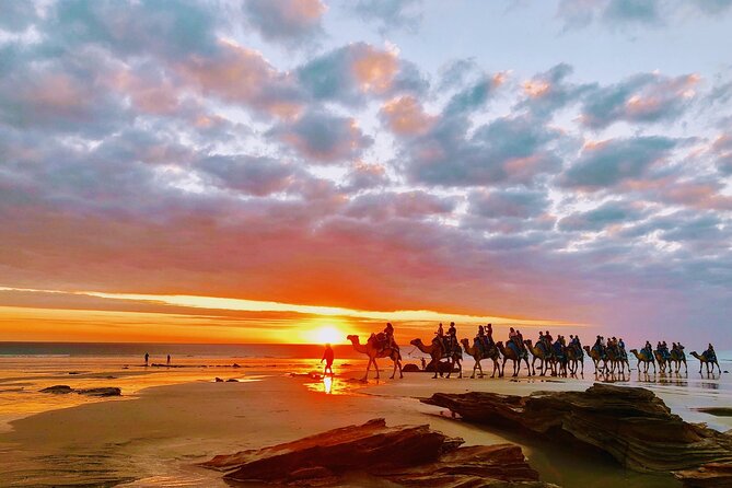 1 Hour Broome Sunset Camel Tour - Comfort and safety: the weight limit and back-problem warning are real