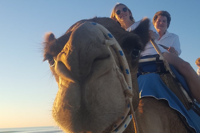 1 Hour Broome Sunset Camel Tour - Price and value: what $125 buys in Broome