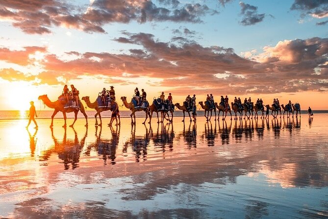 1 Hour Broome Sunset Camel Tour - Best for families, first-timers, and anyone who wants an iconic sunset