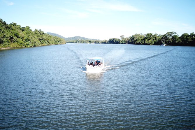 1-Hour Daintree River wildlife cruise - Birds and the UNESCO ecosystem story: what you’ll learn as you cruise