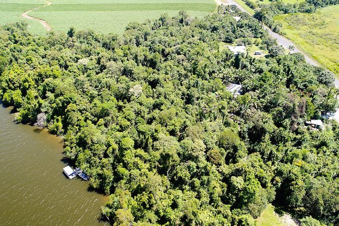 1-Hour Daintree River wildlife cruise - Choosing the right time: morning tea, lunch food, or afternoon drinks