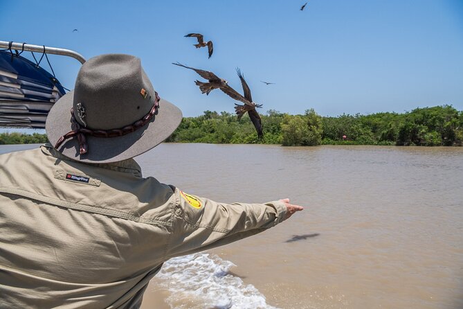 1 Hour Jumping Crocodile Cruise on the Adelaide River - Key things to know before you go