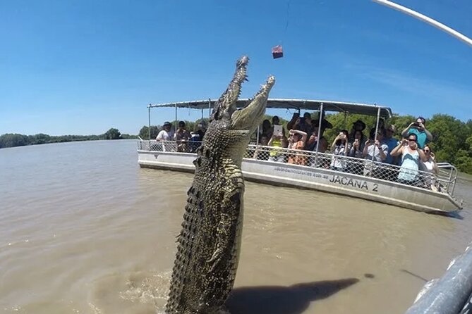1 Hour Jumping Crocodile Cruise on the Adelaide River - Safety, ethics, and why Indigenous ownership matters