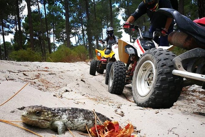 1 Hour Quad Bike Tours, only 30 minutes from Perth - Key things to know before you go