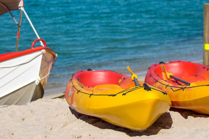 1 Hour Single or Double Kayak Rental to the Nth Bribie Island - Bribie Island East Coast and Coral Sea: The 200 Metre Walk Option