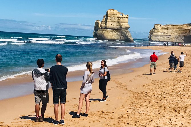 12 Apostles and Shipwreck Coast Express Private Tour - Winchelsea morning tea: a calm start before the big sights