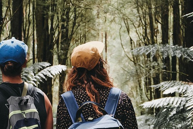 12 Apostles, Otways & Great Ocean Road Day Tour - Small Group - What you pay, and why this can still be good value