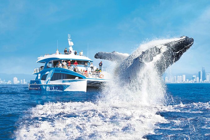 1hr Jet Ski Safari - Photos and onboard extras: what to plan to pay for