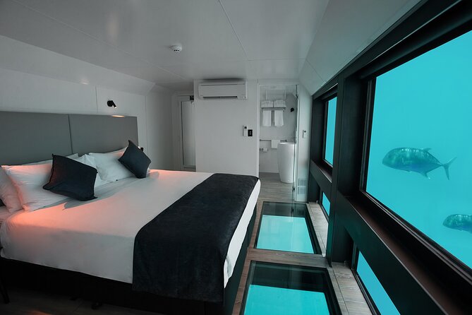 2 Day Great Barrier Reef "Reefsuites" Experience - Why an overnight reefsuite at Hardy Reef feels different