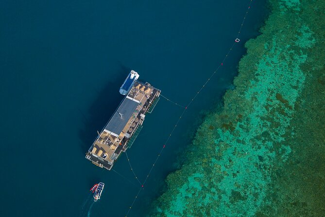 2 Day Great Barrier Reef "Reefsuites" Experience - Day 2 at sea: breakfast, more reef watching, and leaving via Hamilton Island