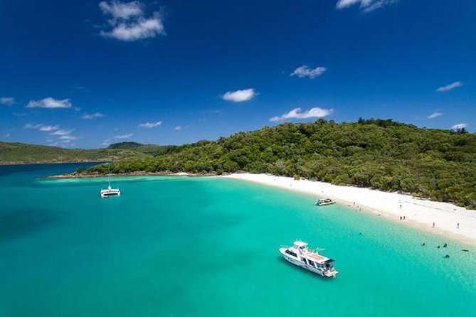 2 Day Great Barrier Reef "Reefsuites" Experience - Who should book, and who might want a different reef tour