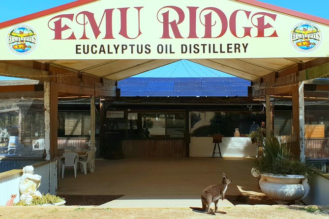 2 day Ultimate Kangaroo Island with return ferry - Day 2 starts with Raptor Domain’s free-flight birds of prey show