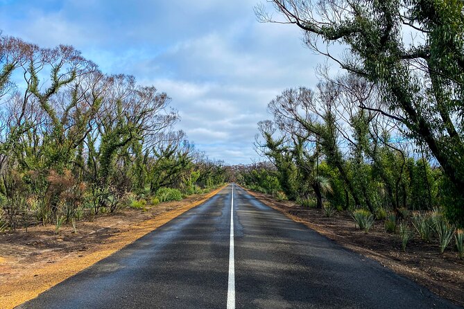 2 day Ultimate Kangaroo Island with return ferry - Day 2: Emu Ridge Eucalyptus Distillery, eucalyptus oil history, and lunch