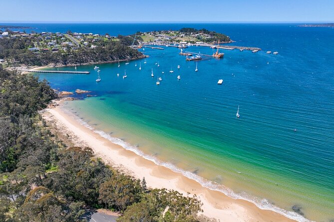 2 Hour Highlights of Eden Tour - Stop 2: Pinnacles Lookout and the panoramic Eden coastline