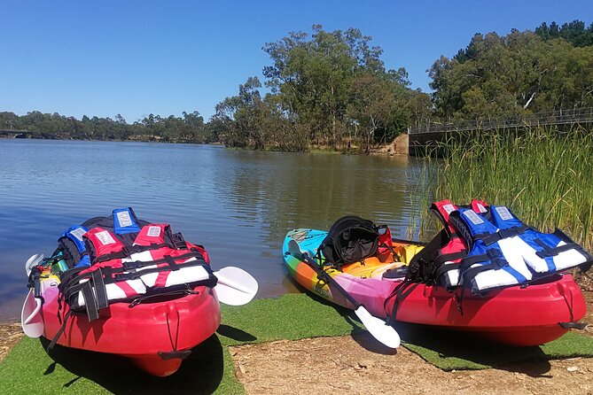 2-Hour Kayaking Experience in Barossa Valley - Key highlights you will care about
