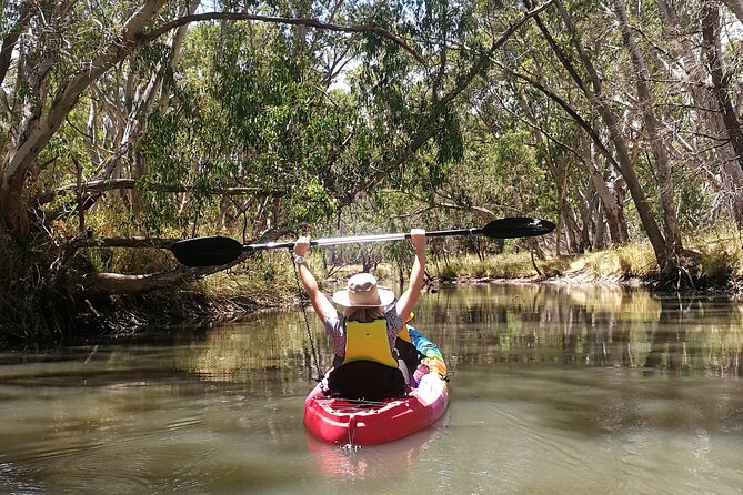 2-Hour Kayaking Experience in Barossa Valley - On the water: a self-guided paddle through the reserve