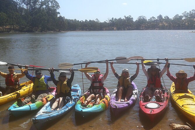2-Hour Kayaking Experience in Barossa Valley - Choosing single vs double: who each kayak option suits