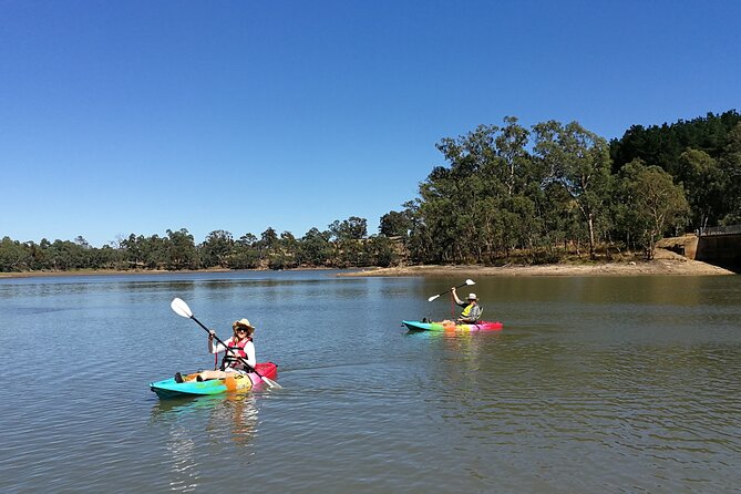 2-Hour Kayaking Experience in Barossa Valley - Atmosphere, group size, and comfort level