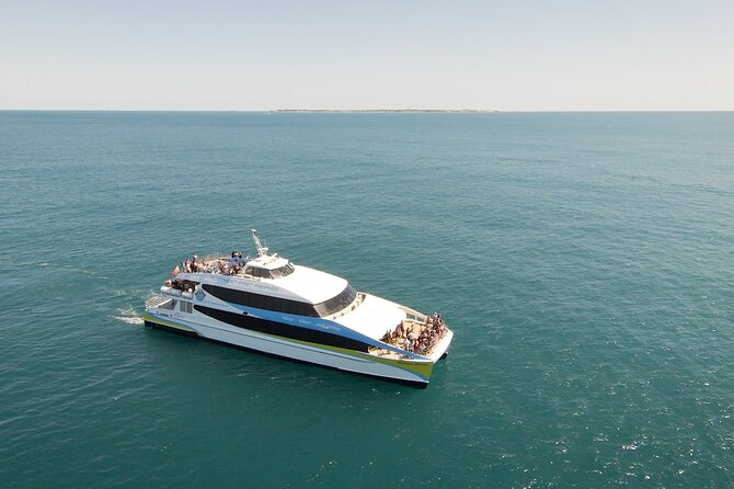 2 Hour Whale-Watching Cruise from Hillarys Boat Harbour - Key things to know before you go whale watching near Perth