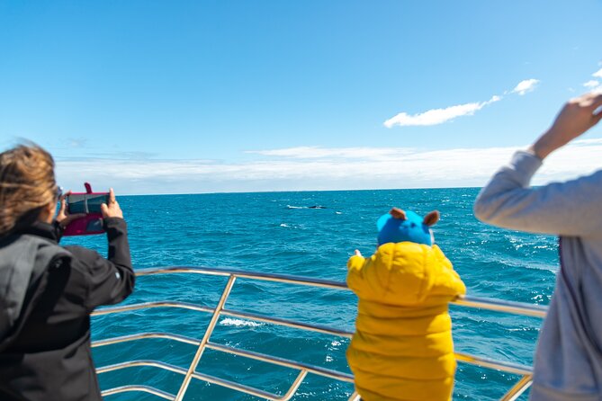 2 Hour Whale-Watching Cruise from Hillarys Boat Harbour - Hillarys Boat Harbour stop, making the most of your time onshore