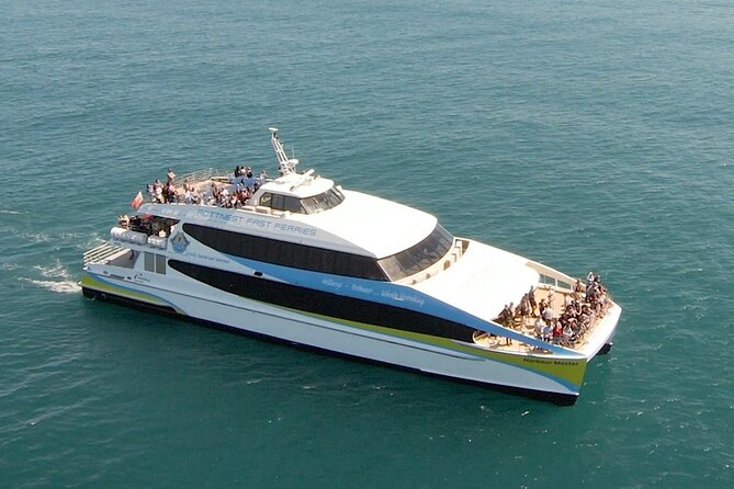 2 hour whale watching experience departing Hillarys Boat Harbour - Boarding and the onboard layout: three decks, one mission