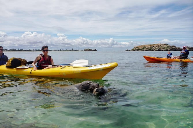 2 hour whale watching experience departing Hillarys Boat Harbour - Photo and viewing tips that actually help