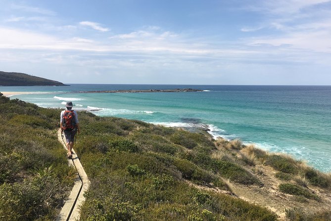 3 Day Murramarang Coast Journey from Batemans Bay with Meals and Villa Accom - Day 1 in Murramarang National Park: a coastal introduction with lunch mid-way