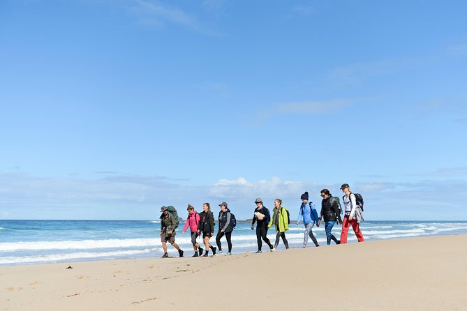 3 Day Murramarang Coast Journey from Batemans Bay with Meals and Villa Accom - Price and value: what $1,398.62 covers, and why it can pencil out