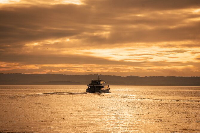 3-Hour Dolphin and Seal Sightseeing Cruise, operated with swim tour passengers - Sightseeing-only ticket, and how the swim-tour pairing affects your day