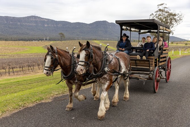 3- Hour Wine and Harvest the Hunter Horse Tour in Pokolbin - Key highlights at a glance