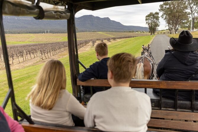 3- Hour Wine and Harvest the Hunter Horse Tour in Pokolbin - Why the horse-and-wine format feels different in Pokolbin