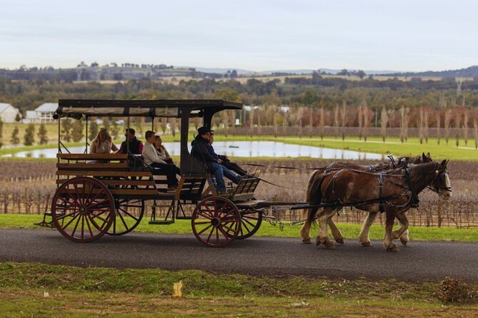 3- Hour Wine and Harvest the Hunter Horse Tour in Pokolbin - Stop feel: starting in Pokolbin and settling into the countryside pace