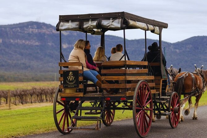 3- Hour Wine and Harvest the Hunter Horse Tour in Pokolbin - Winery tastings that work for different wine preferences