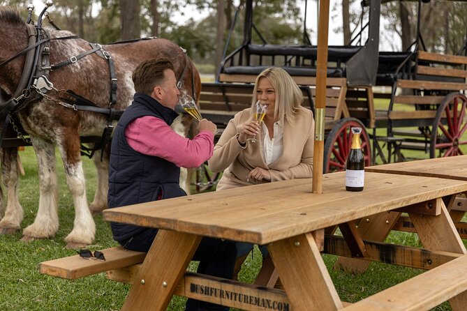 3- Hour Wine and Harvest the Hunter Horse Tour in Pokolbin - Price and what you’re really paying for (about $106.87)