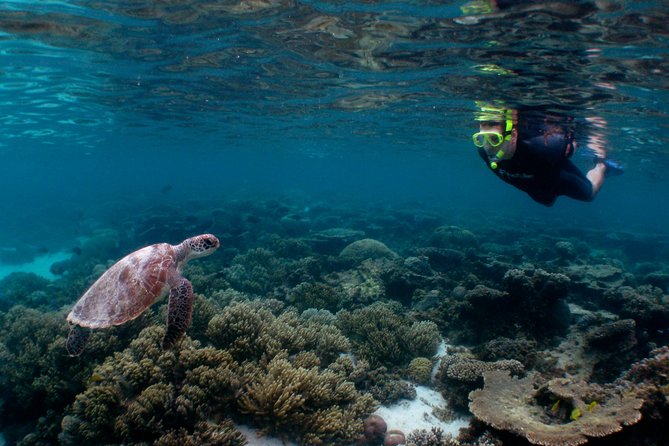 3 Night Ningaloo Reef Snorkel and Dive Getaway from Coral Bay - Key things I’d plan for on this Ningaloo Reef trip