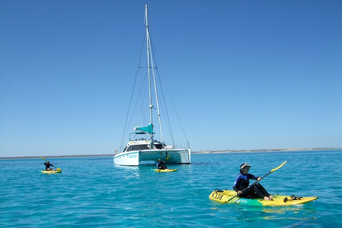 3 Night Ningaloo Reef Snorkel and Dive Getaway from Coral Bay - Day 3: the crew picks sites based on conditions, so you get options