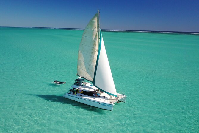 3 Night Ningaloo Reef Snorkel and Dive Getaway from Coral Bay - Day 4: manta ray behavior, inner reef mating and birth, then back to Coral Bay