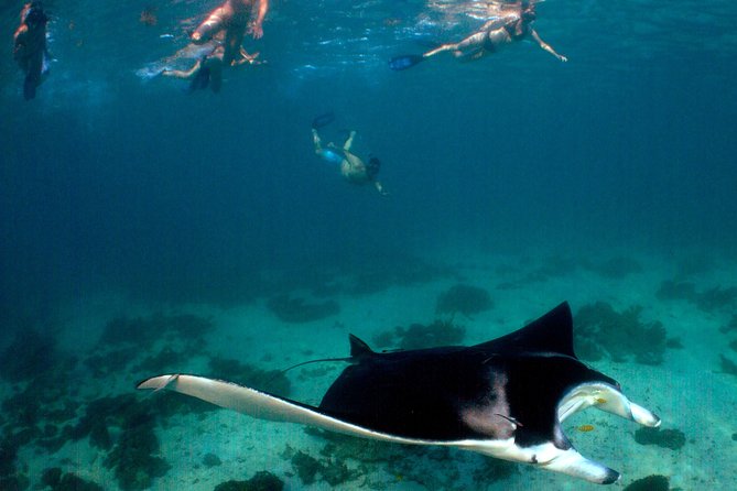 3 Night Ningaloo Reef Snorkel and Dive Getaway from Coral Bay - Food and coffee on board: your energy stays steady