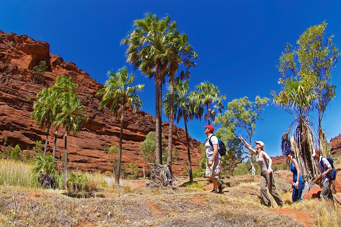 3 night Uluru, Kata Tjuta and Kings Canyon Camping Adventure - Price and logistics: $857.11, included meals, and how to judge value