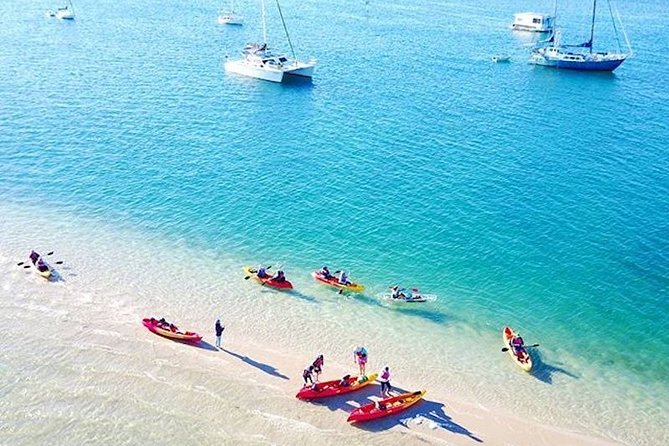 30 min Jet Ski Safari - Price and Value: Is $93.24 Worth It?