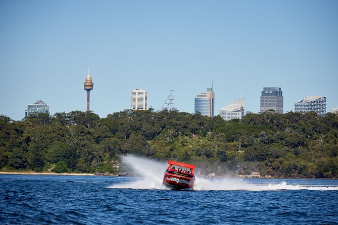 30-Minute Sydney Harbour Jet Boat Thrill Ride - Price and Value: Does $51.07 Make Sense?