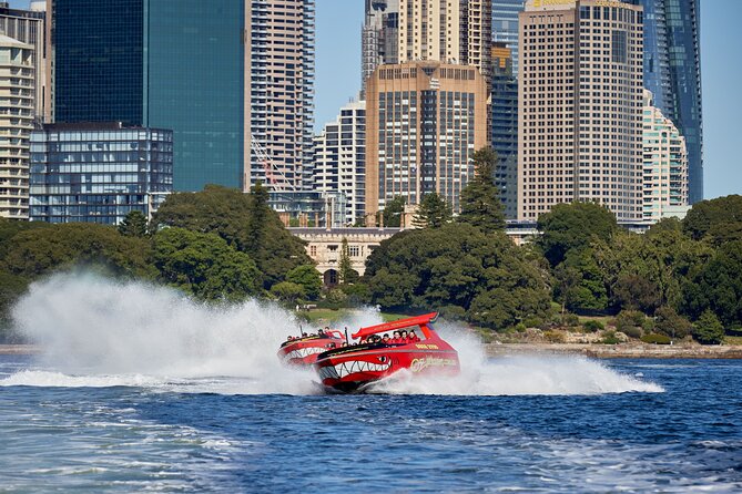 30-Minute Sydney Harbour Jet Boat Thrill Ride - The Logistics That Actually Affect Your Day