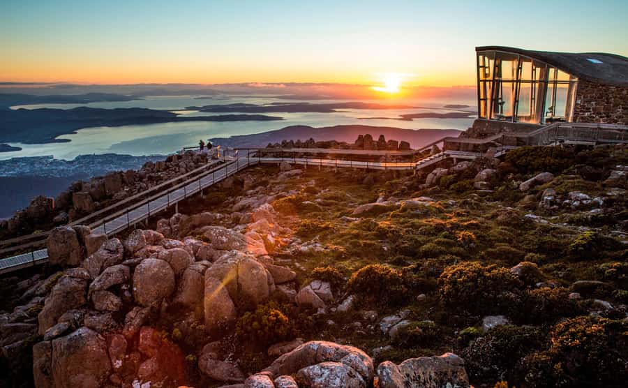 3D Tasmanian Highlights: Hobart, Port Arthur & Bruny Island - Day 2 on Bruny Island: Beaches, Rugged Coast, and Native Wildlife
