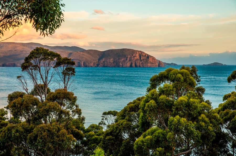 3D Tasmanian Highlights: Hobart, Port Arthur & Bruny Island - Price and Logistics: Is $322 Worth It?