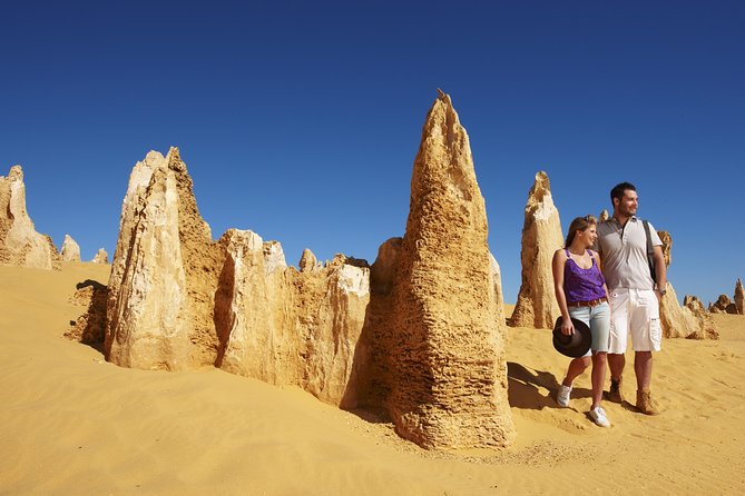 4-Day Monkey Mia Dolphins Pink Lake Pinnacles Comfort-Level Tour - Day 4 Geraldton to Pinnacles to Perth: Memorial Views, Lobster Lunch, and Limestone Spires